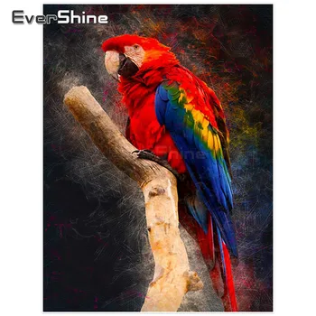 Evershine Diamante Pintura Parrot Completo Broca 5d Bordado de Diamante Animais, Imagens De Strass Diamante Mosaico de Parede Decoração