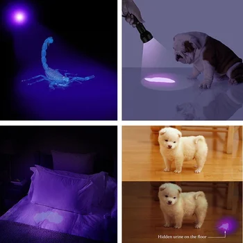 Recém-UV 9LED Escorpião Detector de Dinheiro Caçador Finder Ultra Violeta Blacklight Lanterna Tocha de Luz de Lâmpada TE889