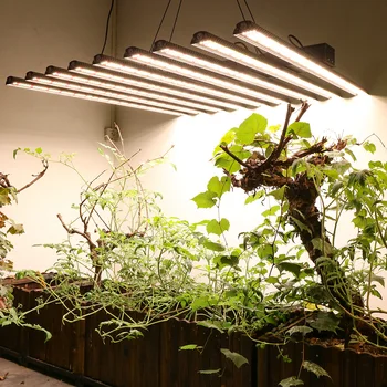 7000W LED Cresce a Lâmpada de Luz Quente do Espectro Completo 9in1 Crescente Bares para Cultivo Interior da Planta Hidropônica Tenda de emissões de gases de efeito