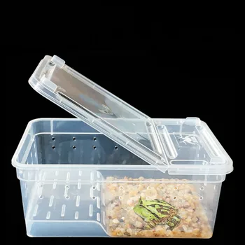 Réptil Suprimentos Terrário Caixa Plástica Transparente de Inseto, Réptil de Transporte de Reprodução de Alimento Vivo de Alimentação Caixa de 19x12.5x7.5cm