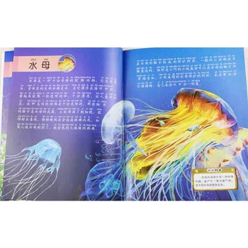Novo Chinês Ciência Animal Enciclopédia de Contos de fadas para Crianças cognitivo livros de imagens com pinyin ,10 livros/set 3-6 as idades