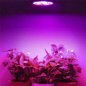 10pcs Espectro Completo Planta Crescer Diodo emissor de Luz da Lâmpada de Iluminação para Sementes Hidro Flor de Estufa Jardim Interior E27 Fito Growbox