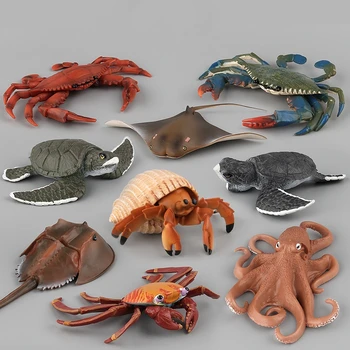 Chilren Educacional De Animais Do Mar Reconhecer Caranguejo Eremita Tachypleus Tartaruga Polvo Modelo Boneca, Figura De Ação Brinquedos