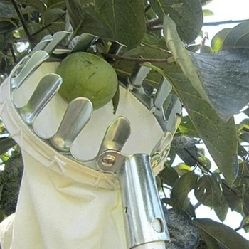 15cm x 20cm Metal Fruto do Seletor Conveniente Hortícolas Frutos do Selecionador para o cultivo de Maçã Pêssego Escolhendo Ferramentas de Jardinagem Ferramenta