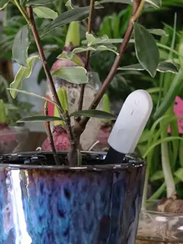 Casa Inteligente Com Luz Indicadora De Detectar Jardim Portátil Preciso Plantar O Medidor De Umidade Do Solo A Umidade Do Testador De Flor Monitor Seco E Molhado