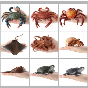 Chilren Educacional De Animais Do Mar Reconhecer Caranguejo Eremita Tachypleus Tartaruga Polvo Modelo Boneca, Figura De Ação Brinquedos