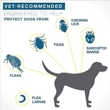 Elimina Pulgas e Carrapatos Coleira Cães Gatos Até 8 Meses de Pulgas e Carrapatos Coleira Anti-mosquito e Inseto Repelente para Gatos